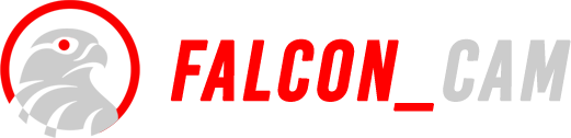 Falcon Cam